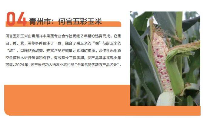 出圈啦!青州斩获多项荣誉