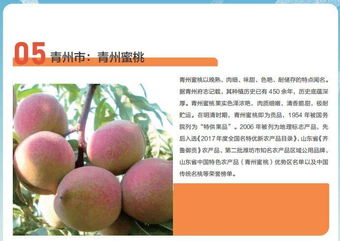 出圈啦!青州斩获多项荣誉